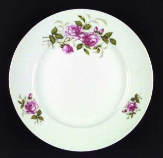 Johann Haviland Courtship Dinner Plate, Fine China Dinnerware   Pink/Red Roses,