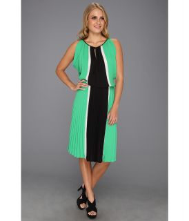 BCBGMAXAZRIA Iona Color Blocked Dress w/Pleated Skirt Womens Dress (Green)