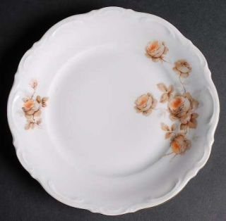 Mitterteich Norway Rose Salad Plate, Fine China Dinnerware   Orange/Brown Roses,