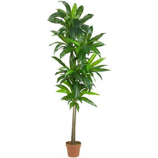 6 foot Dracaena Real Touch Silk Plant