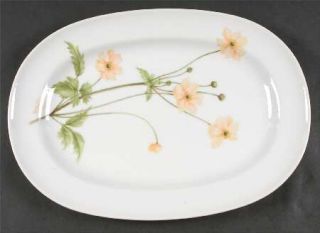 Mikasa Flower Of The Month 15 Oval Serving Platter, Fine China Dinnerware   Nat