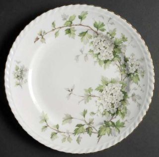 Franconia   Krautheim Hawthorn Luncheon Plate, Fine China Dinnerware   White Flo