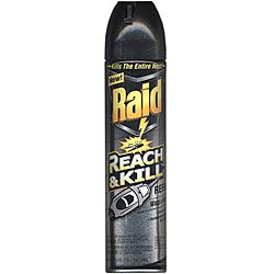 Raid 17.5 oz Reach And Kill Wasp And Hornet Killer Refill