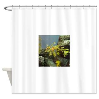  Leafy Seadragon with Rocks Shower Curtain  Use code FREECART at Checkout
