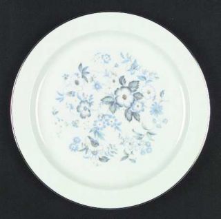 Celebrity Danbury Dinner Plate, Fine China Dinnerware   Blue & White Center Flor