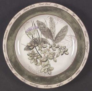 American Atelier Bouquet Garni Salad/Dessert Plate, Fine China Dinnerware   Scro
