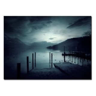 Trademark Global Inc Blackout Canvas Art by Philippe Sainte Laudy   PSL043 