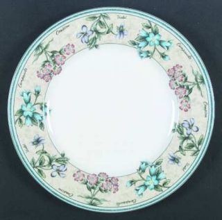 Mikasa Parisian Garden Dinner Plate, Fine China Dinnerware   Blue Bands,Beige Ri