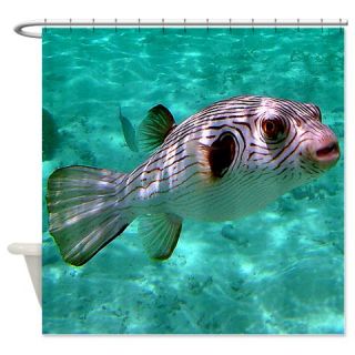  Striped Puffer Fish Shower Curtain  Use code FREECART at Checkout