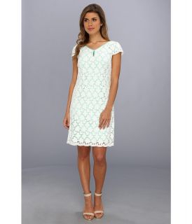 Ivy & Blu Maggy Boutique Short Sleeve V Neck T Shirt Sheat Dress Womens Dress (White)