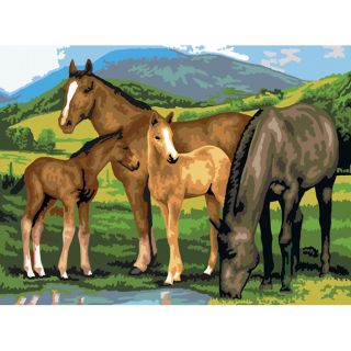 Junior Large Paint By Number Kit 15 1/4 X 11 1/4 horse and Foals