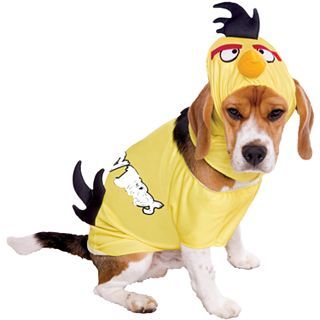 Angry Birds Yellow Bird Pet Costume