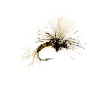 Birchells Hatching Midge, Olive, 20