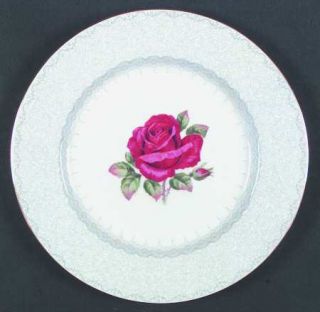 Paragon Madeira Lace Dinner Plate, Fine China Dinnerware   Lace Border, Rose   C