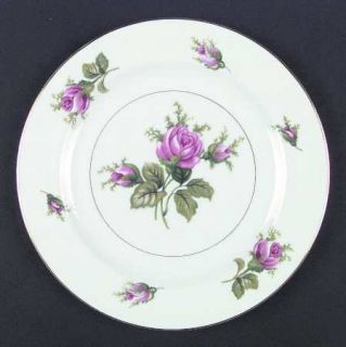 Kyoto Roseverte Dinner Plate, Fine China Dinnerware   Pink Roses On Rim And Cent