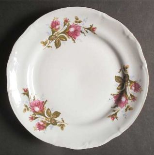 Embassy (Poland) Majestic Rose Dinner Plate, Fine China Dinnerware   Chodziez, R