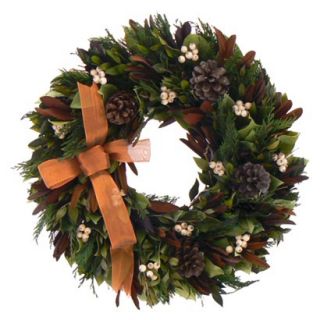 Chocolate Pinecone Dried Floral   16