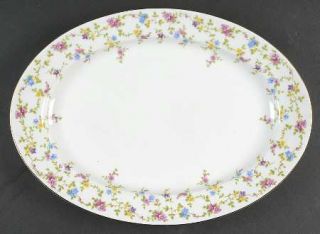 Heinrich   H&C Coquette White 14 Oval Serving Platter, Fine China Dinnerware  