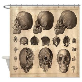  Vintage Scientific Skull Diagram Shower Curtain  Use code FREECART at Checkout