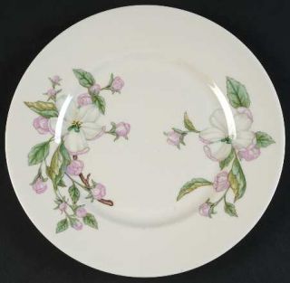 Franciscan Chelan Salad Plate, Fine China Dinnerware   Pink/ White Blossoms, No