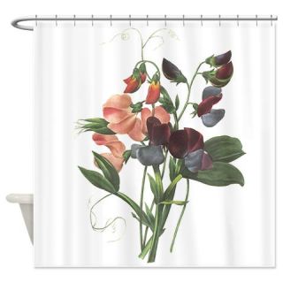  Redoute Sweetpeas Shower Curtain  Use code FREECART at Checkout