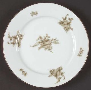 Rosenthal   Continental Colonial Rose Salad Plate, Fine China Dinnerware   Pink/