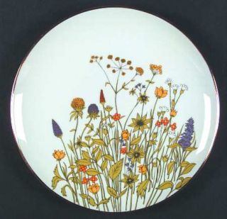 Viletta Alpine Meadow Dinner Plate, Fine China Dinnerware   Multicolor Flowers,C