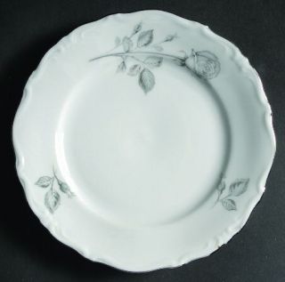 Winterling   Bavaria Wig580 Bread & Butter Plate, Fine China Dinnerware   Gray R