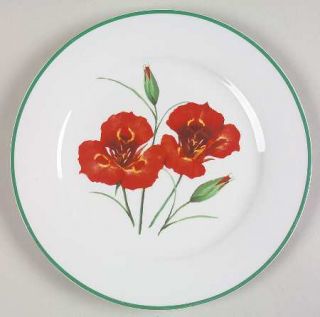 National Wildlife Federation American Wildflowers Dinner Plate, Fine China Dinne