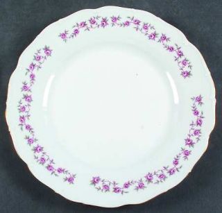 Haas Czjzek Coronado Hcz77 Dinner Plate, Fine China Dinnerware   Pink Roses,Scal