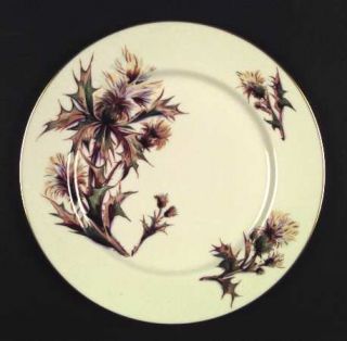 Flintridge Thistle Dinner Plate, Fine China Dinnerware   Brown & Green Thistle P