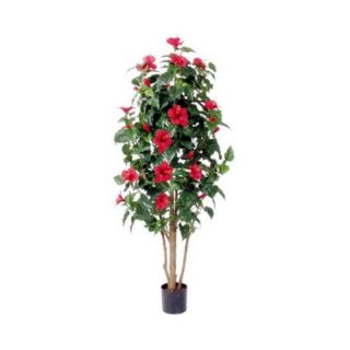 3.5 ft. Red Hibiscus   98730
