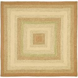 Handwoven Indoor/outdoor Reversible Multicolor Braided Area Rug (8 Square)