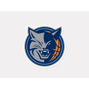 Charlotte Bobcats Wincraft 4x4 Die Cut Decal Color