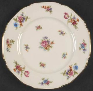 Tirschenreuth Colwyn Salad Plate, Fine China Dinnerware   Multicolor Flowers,Sca