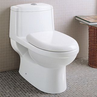 Ariel Platinum Anna Dual Flush Toilet (WhiteOne piece toiletSoft close seatDual flush 1.6 gallons per flush/ 0.9 gallons per flushMaterials PorcelainDimensions 27 inches wide x 16 inches deep x 24.5 inches tallModel TB222Assembly required )