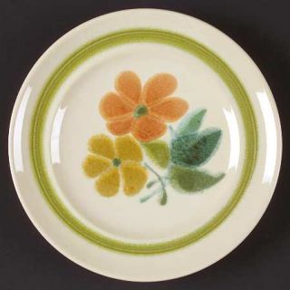 Franciscan Floral (Usa, Rim Shape) Bread & Butter Plate, Fine China Dinnerware  