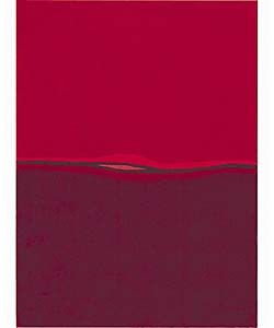 Nourison Hand tufted Red Gallery Rug (56 X 76) (redPattern STRIPEMeasures 3/4 inch thickTip We recommend the use of a non skid pad to keep the rug in place on smooth surfaces.All rug sizes are approximate. Due to the difference of monitor colors, some r