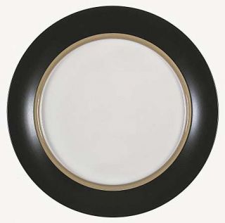 Pfaltzgraff Radius Dinner Plate, Fine China Dinnerware   Relativity,Dark Green/B