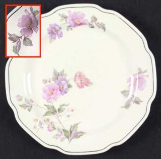 Mount Clemens Mtc3 Luncheon Plate, Fine China Dinnerware   Floral, Platinum    I