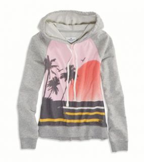 Medium Heather Grey AE Tropic Graphic Hooded Sweatshirt, Womens XXS