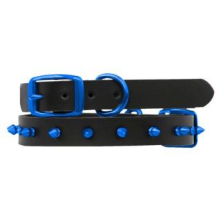 Platinum Pets Black Genuine Leather Dog Collar with Spikes   Blue (17 20)
