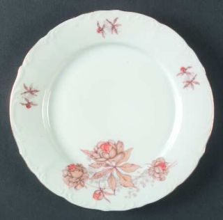 Bohemia Ceramic Boh12 Salad Plate, Fine China Dinnerware   Orange & Taupe Flower