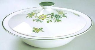 Royal Doulton Campagna Green Round Covered Vegetable, Fine China Dinnerware   Ye
