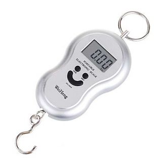 Digital Weighting Hook Scale with Neck Strap  Silver (40kg Max/10g Resolution)