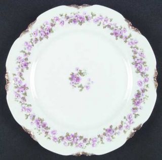 Haviland Schleiger 498 Dinner Plate, Fine China Dinnerware   H&Co,Blank 23,Pink