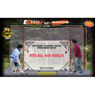 EZ Goal 10 x 6 ft. Hockey Backstop with Targets Multicolor   65121