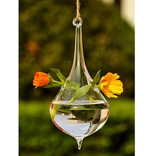 Artistic Hanging Glass Vase