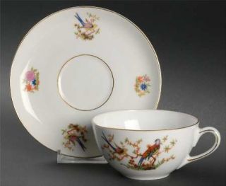 Bohemia Ceramic Eaton, The Flat Cup & Saucer Set, Fine China Dinnerware   Birds
