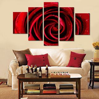 Stretched Canvas Art Floral Red Rose Set of 5